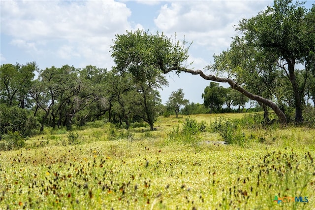 425 Copper Crst, New Braunfels, TX 78132 - photo 9