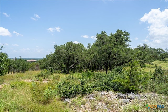 425 Copper Crst, New Braunfels, TX 78132 - photo 29