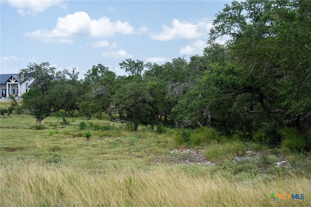 425 Copper Crst, New Braunfels, TX 78132 - photo 14