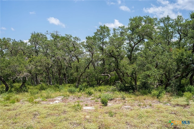 425 Copper Crst, New Braunfels, TX 78132 - photo 24