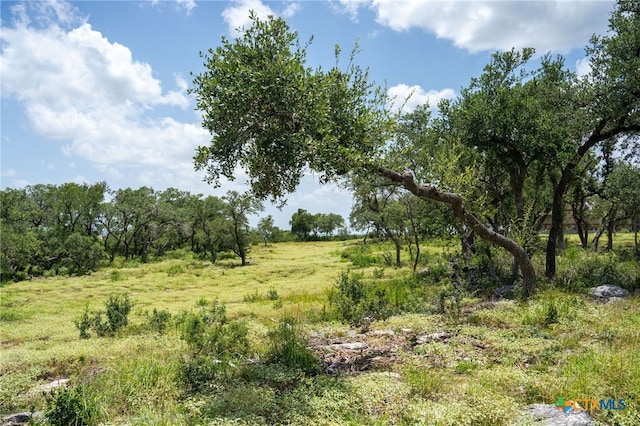 425 Copper Crst, New Braunfels, TX 78132 - photo 10