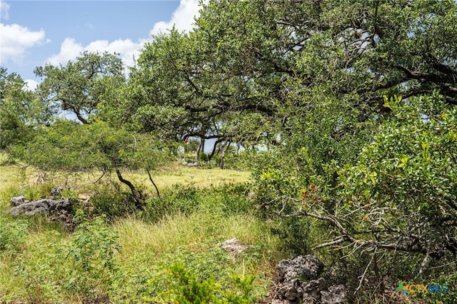 425 Copper Crst, New Braunfels, TX 78132 - photo 17