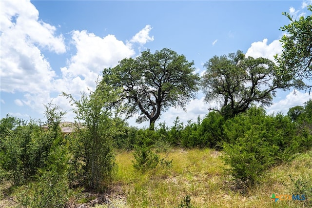 425 Copper Crst, New Braunfels, TX 78132 - photo 20