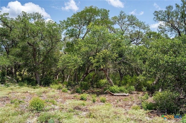 425 Copper Crst, New Braunfels, TX 78132 - photo 26