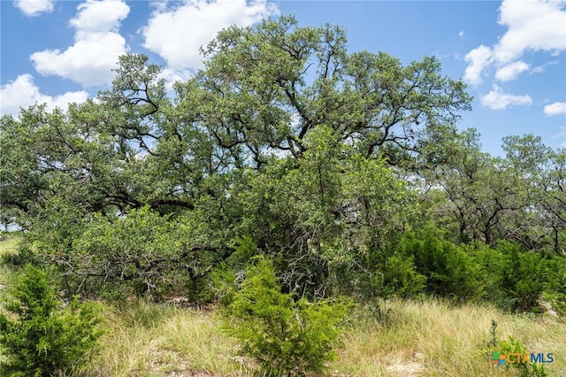425 Copper Crst, New Braunfels, TX 78132 - photo 16
