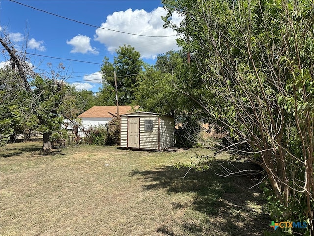 view of yard with a storage unit