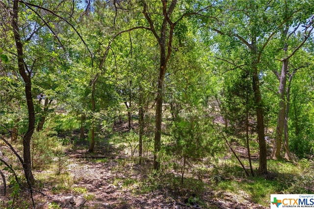 21465 Lakefront Dr, Lago Vista, TX 78645