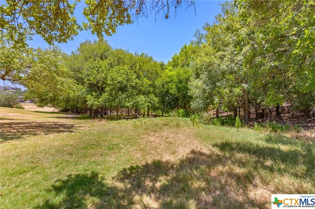 21465 Lakefront Dr, Lago Vista TX, 78645 land for sale