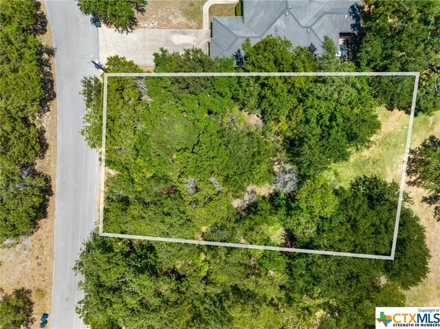 21465 Lakefront Dr, Lago Vista, TX 78645