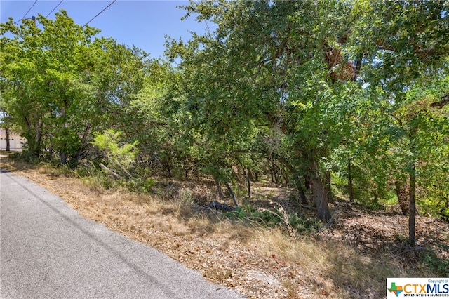 21465 Lakefront Dr, Lago Vista, TX 78645