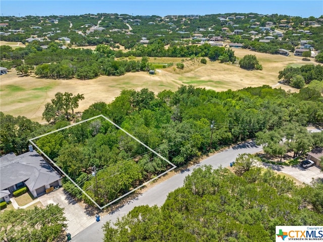 21465 Lakefront Dr, Lago Vista, TX 78645