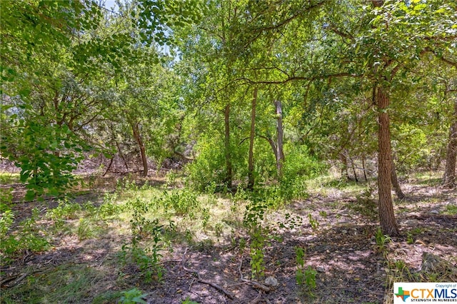 21465 Lakefront Dr, Lago Vista, TX 78645