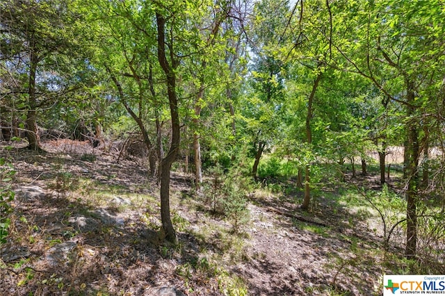 21465 Lakefront Dr, Lago Vista, TX 78645