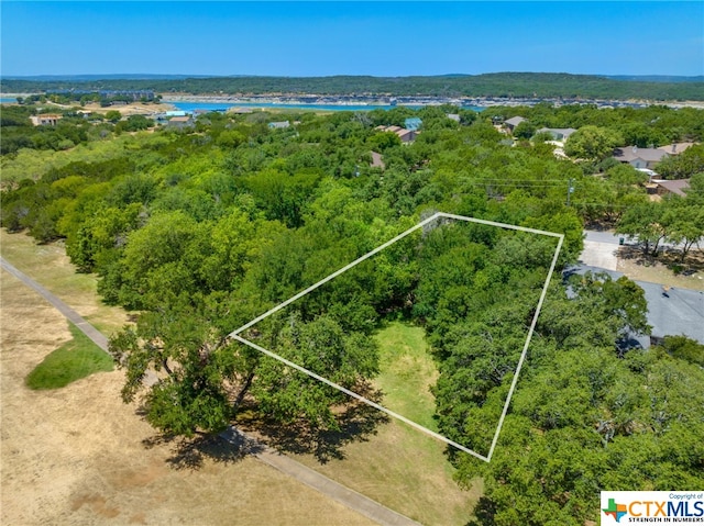 21465 Lakefront Dr, Lago Vista, TX 78645