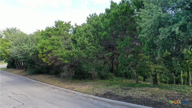 1505 Wildridge Dr, Harker Heights, TX 76548 - photo 4