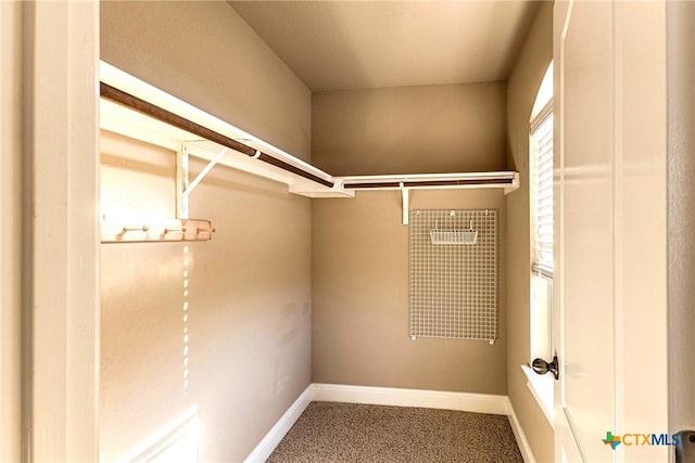 243 Arendes Dr, New Braunfels, TX 78132 - walk in closet with carpet floors