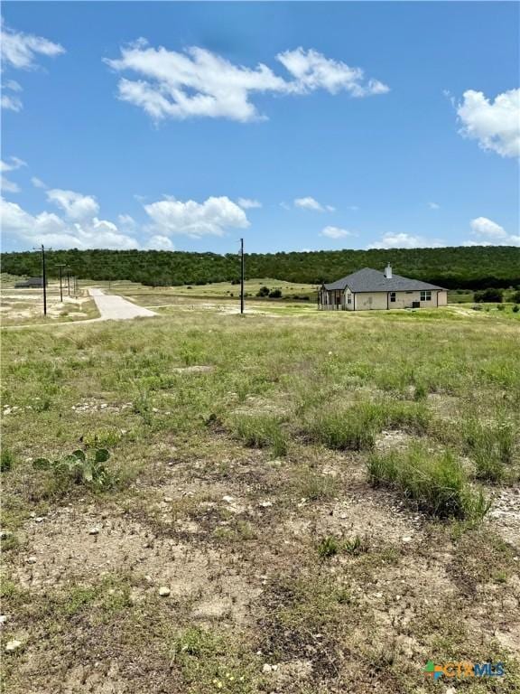 1149 Holden Loop, Copperas Cove, TX 76522 - photo 8