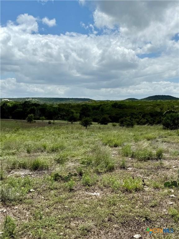 1149 Holden Loop, Copperas Cove, TX 76522 - photo 4