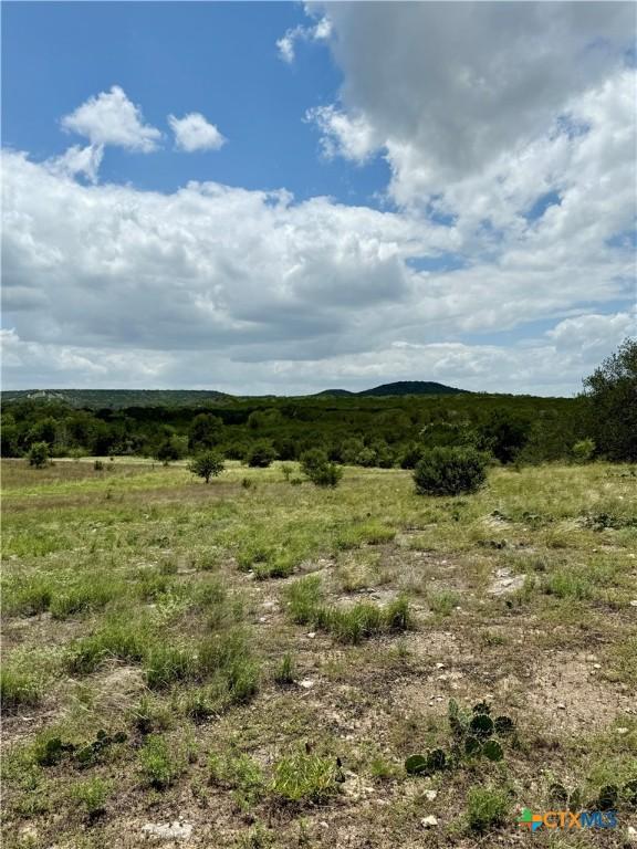 1149 Holden Loop, Copperas Cove, TX 76522 - photo 10