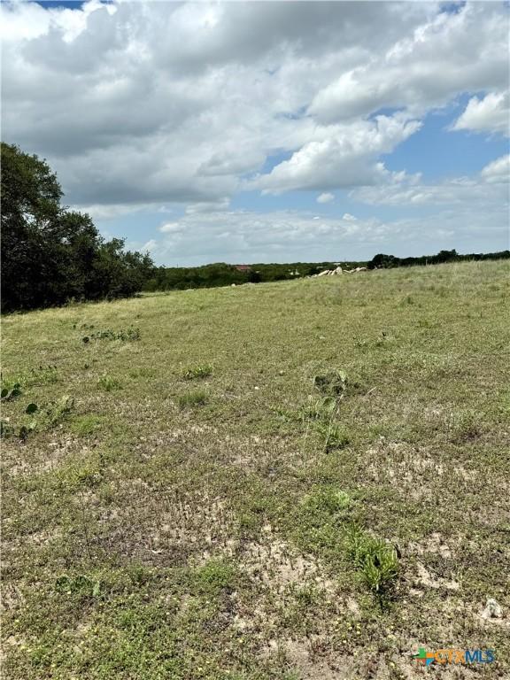 1149 Holden Loop, Copperas Cove, TX 76522 - photo 5