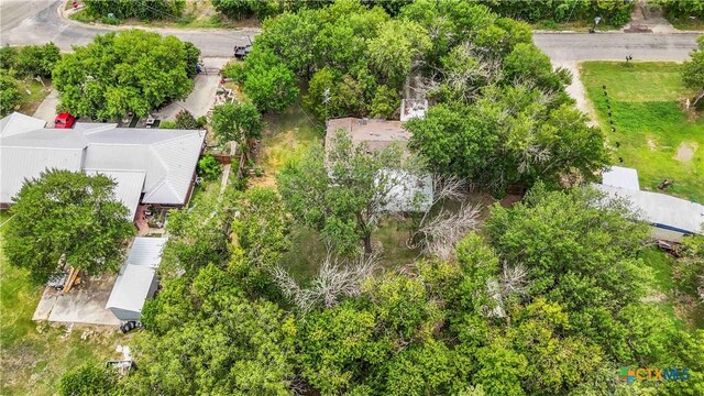 137 Columbia Cir, San Marcos, TX 78666 - photo 7