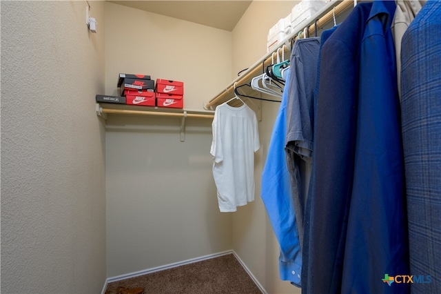 spacious closet featuring carpet