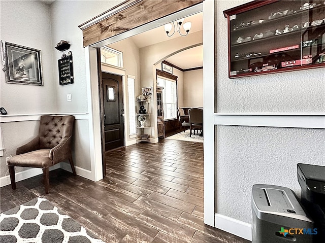 entrance foyer with dark wood-type flooring