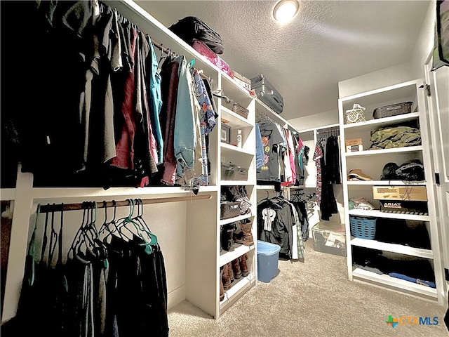 spacious closet with light colored carpet