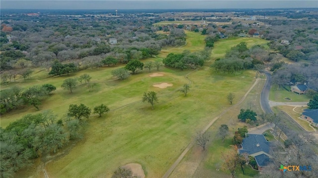 bird's eye view