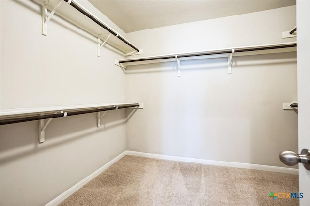 walk in closet with carpet floors