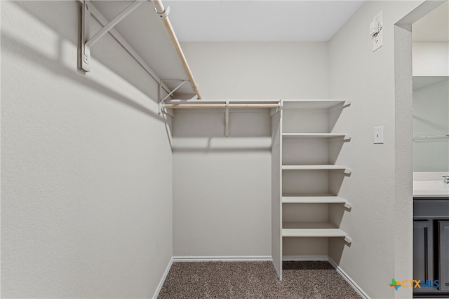 walk in closet with carpet and sink