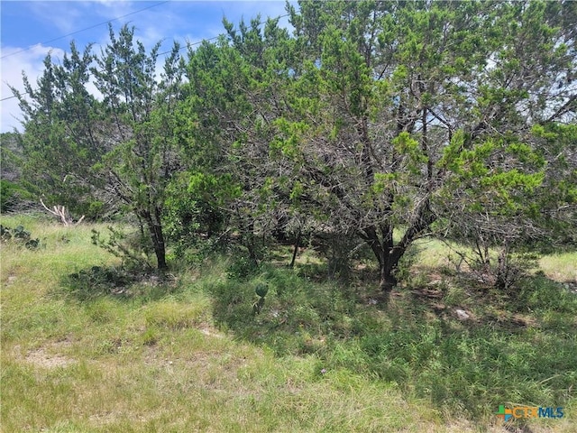 16011 Brazos Dr, Temple, TX 76502 - photo 1