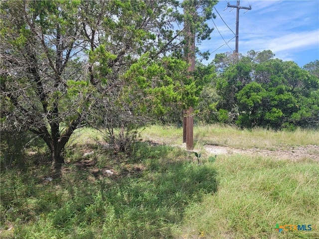 16011 Brazos Dr, Temple, TX 76502 - photo 2