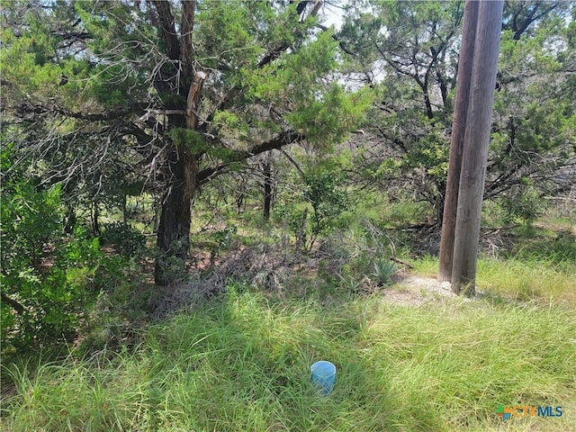 16011 Brazos Dr, Temple, TX 76502 - photo 5
