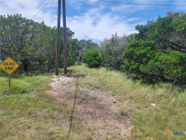 16011 Brazos Dr, Temple, TX 76502 - photo 4