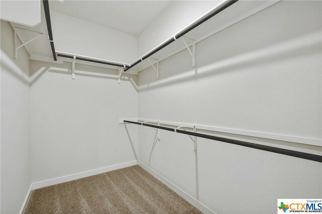 spacious closet with light carpet