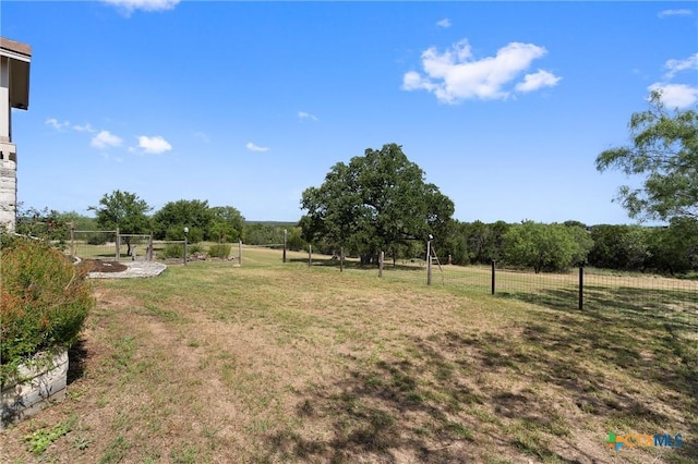 view of yard featuring a gate