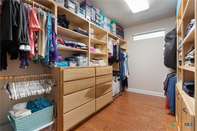 spacious closet featuring light wood-type flooring