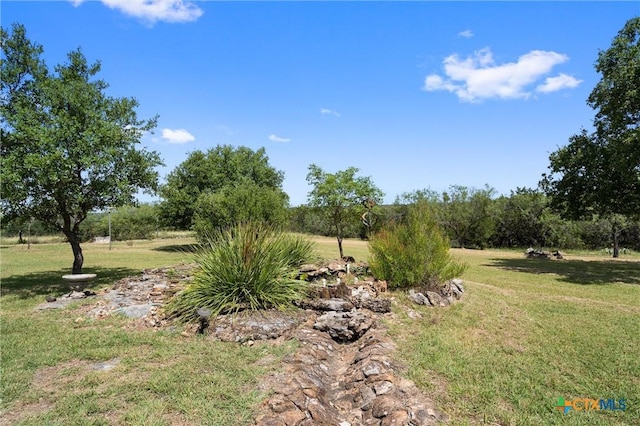 view of grassy yard