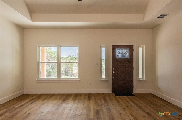 entryway featuring hardwood / wood-style flooring and a tray ceiling