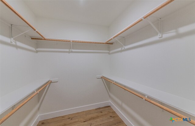 spacious closet with wood-type flooring