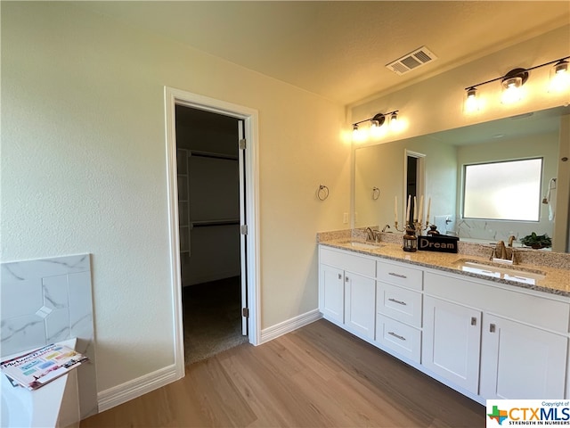 bathroom with hardwood / wood-style floors and vanity