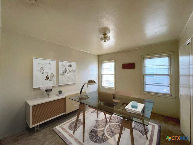 carpeted office with a textured ceiling