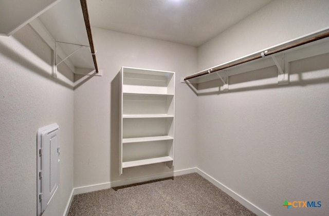 walk in closet with carpet floors