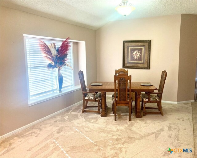 carpeted dining area with a textured ceiling