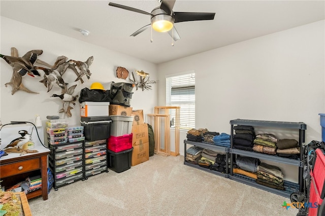 storage room featuring ceiling fan