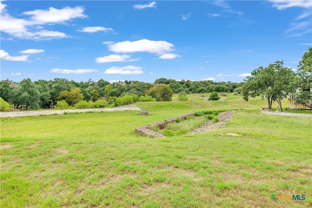view of yard featuring a rural view