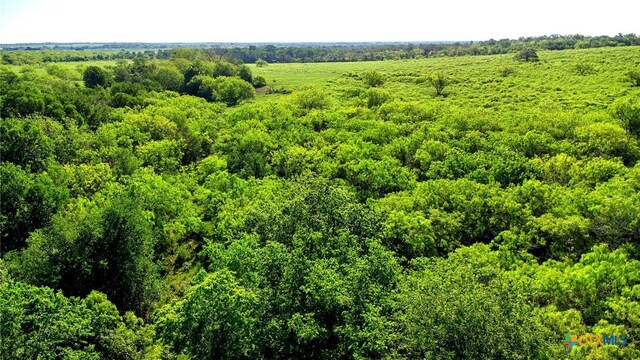 TBD County Road 447, Waelder, TX 78959 - photo 15