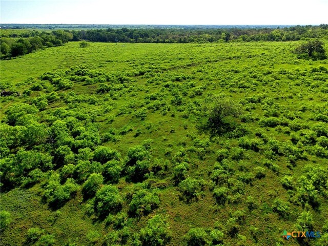 TBD County Road 447, Waelder, TX 78959 - photo 13