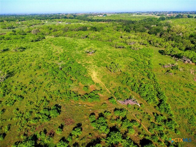 TBD County Road 447, Waelder, TX 78959 - photo 1